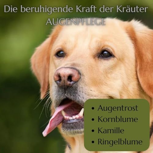 green idea Augentrost - Euphrasia Augenpflege für Hunde - AUGENTROPFEN mit Borsäure - Augenreiniger für Hunde - lindern Augenjucken und Reizungen - Sichere und schonende Augenpflege 50 ml