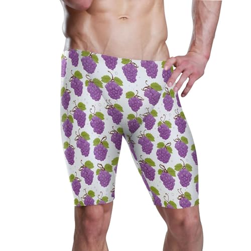 UMIRIKO Grape Fruit Men's Swim Jammers Swimsuit M B0402880