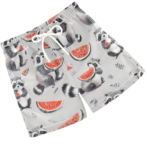 Pigsaly Boys' Swim Board Shorts Watermelon Cute Grey White Raccoon Boy's Swim Trunks Kids Swimwear 2T