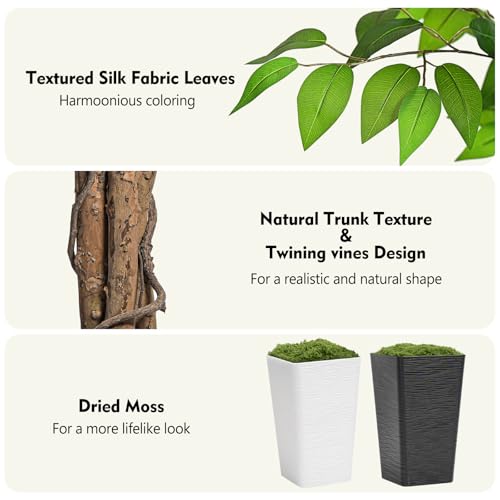 Image of 6ft Ficus Artificial Tree with 3 Natural Curved Trunks, 74 inch Tall Lush Faux Tree for Home Decor Indoor, Green Lifelike Fake Ficus Tree with White Wavy-Textured Planter Pot
