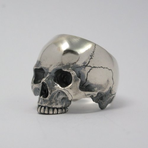 スカルリング（顎無し）