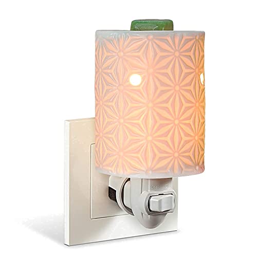 STAR MOON Wax Melter Plug in for Home DÃ©cor, Plug in Wax Melt Warmer, Outlet Wax Melt, No Flame, with One More Bulb (Amaryllis, in1)
