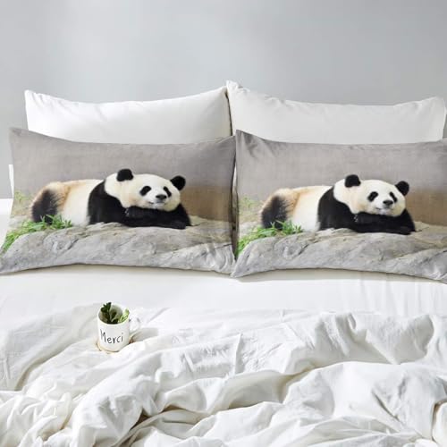 Ensemble de literie panda 200x200 cm le cadeau idéal pour garçon - 3