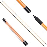 BIRDIEBLAST Professional Collapsible Golf Alignment Sticks, 48' Alignment Golf Stick Ideal for Aiming, Putting and Swing Practice (2)