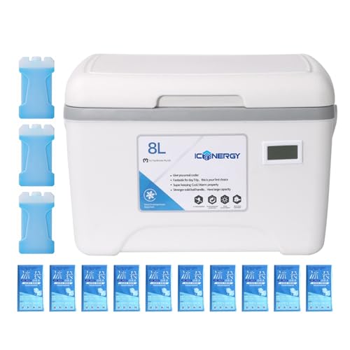 pequeña de 8 litros compacta con asa, recipiente térmico hermético con indicador de temperatura para alimentos, fiestas en el jardín, excursiones