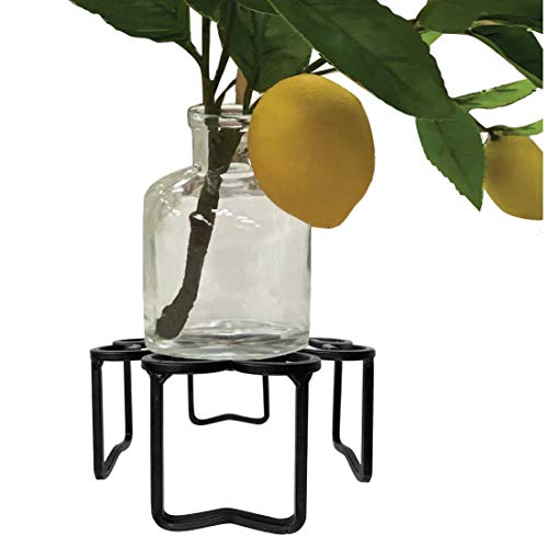 Lily’s Home Heavy Duty Metal Indoor Outdoor Potted Plant Stand, Scroll Design, Black. (5 Inch) #TOP3