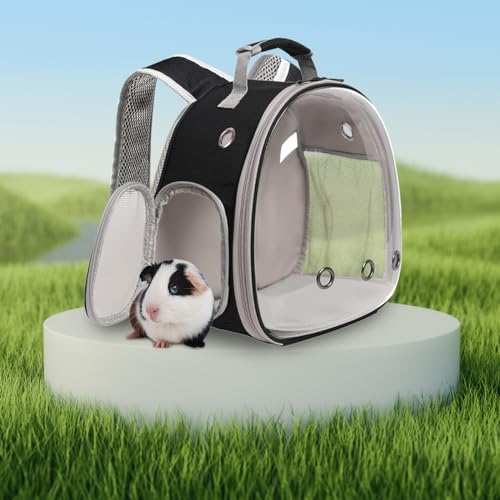 guinea pig backpack space capsule bubble window small animal backpack for guinea pig bird bunny rabbit