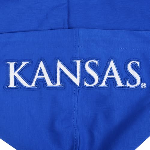 Image of Pro Standard Mens College Classic Chenille Cotton Double Knit Full Zip Hoodie