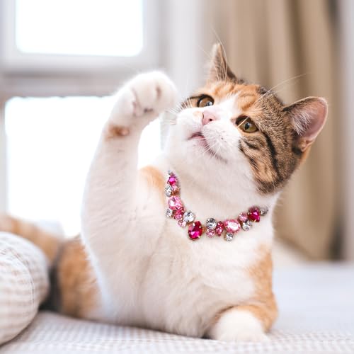 Image of HOWWFALY Dog Collar and Cat Collar Gold Chain Necklace Stainless Steel Adjustable Pink Diamonds Collar with Cute Pet Paw for Small Medium Pets Cats Dogs Kitten Puppy(Pink, L)