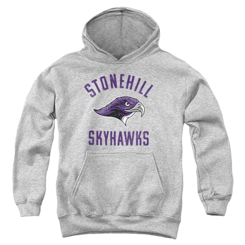 LOGOVISION Stonehill College Large Youth Kids Boy/Girls Pull-Over Hoodie