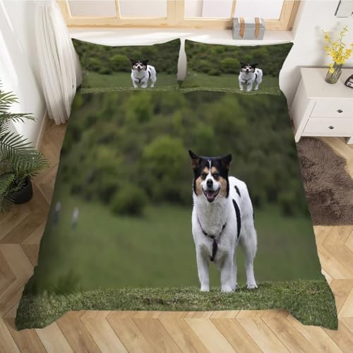 Housse de couette 200x200 microfibre Jack Russo Terrier - 3