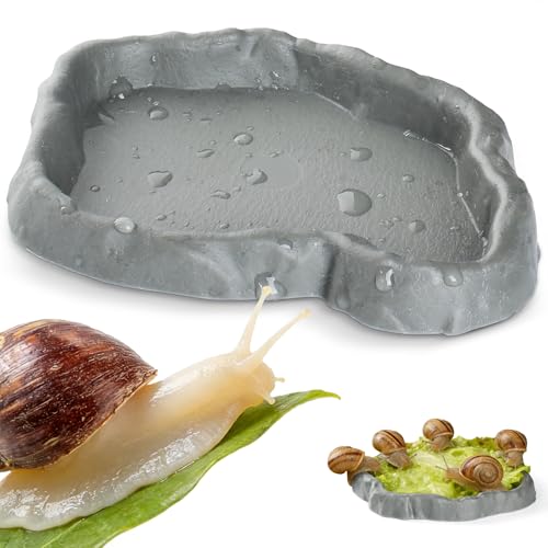 Addveyra Snail Food and Water Bowl Terrarium Feeding Dish for Tank Supplies