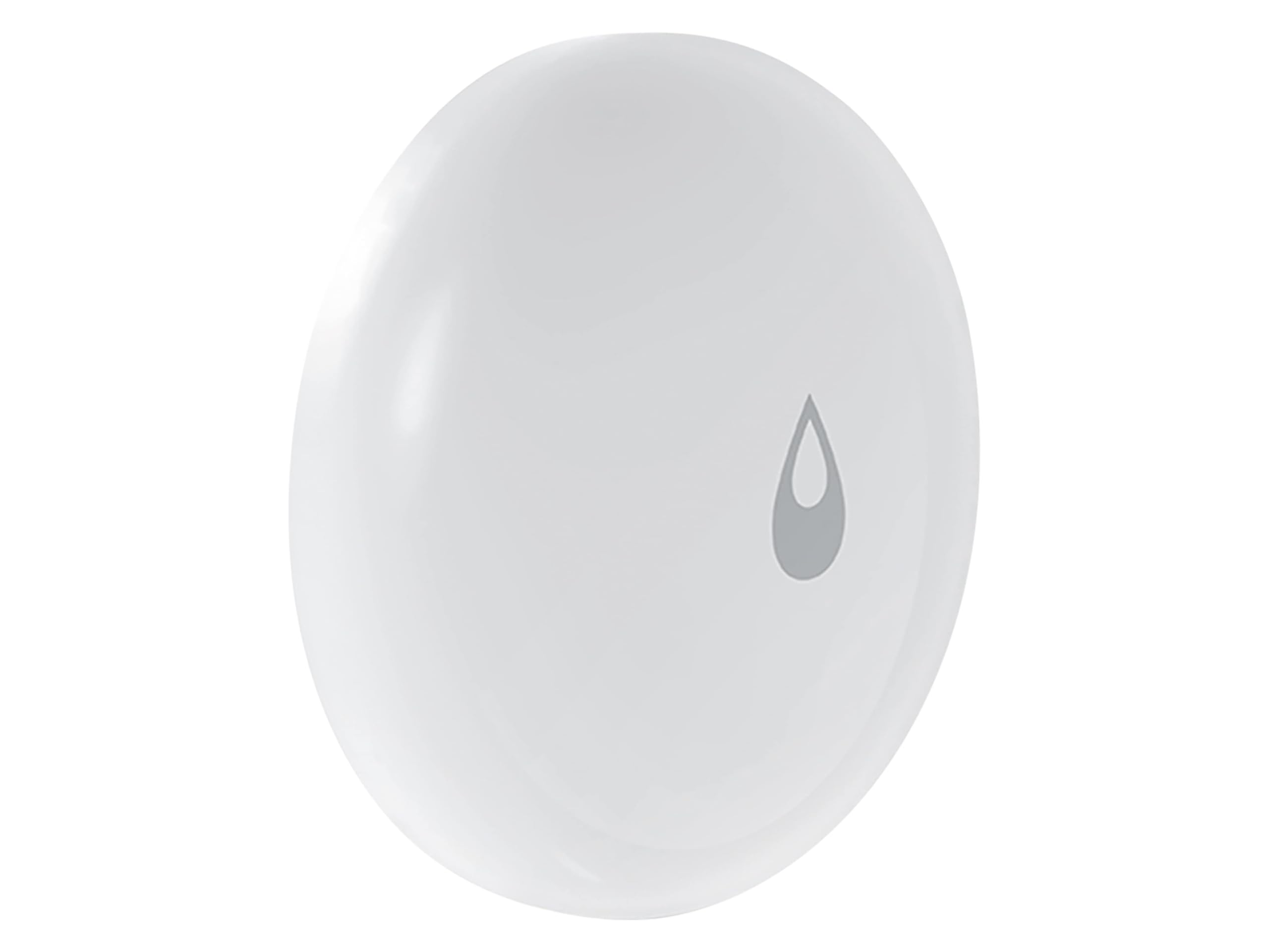 Water Leak Sensor T1