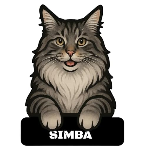 Personalized Maine Coon Cat Name Sign