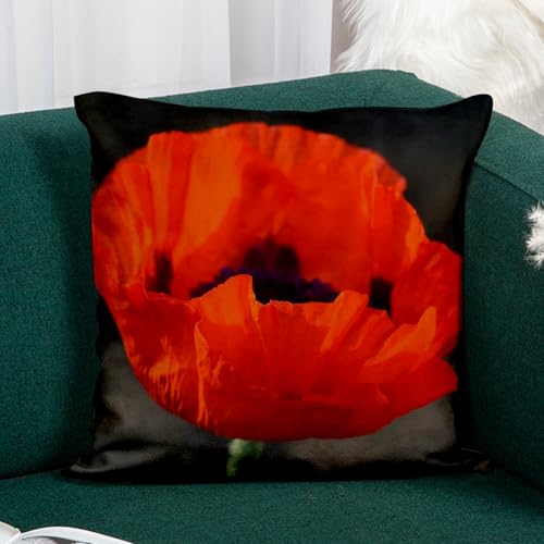 Coussin similicuir blanc toucher cuir coquelicot inclus