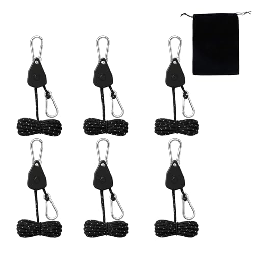 yƑLvɍœKz [v`Fbg 6{Zbg [obOt Ԏ eg[v ^[v[v ݋ Jrit ג߃xg AEghAp (ubN, 6{)