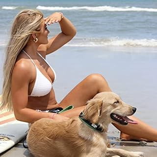 Black Rhino - The Comfort Collar - Collare per cani imbottito in neoprene ultra morbido per tutte le razze. Resistente, regolabile, riflettente e resistente alle intemperie (S, verde e nero)