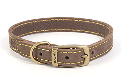 Ancol Timberwolf Premium Leather Dog Collar - Comfortable Durable Pet Training Accessory - Sable Bridle Leather - Soft Supple Waterproof Treated - 26-31cm Size 2