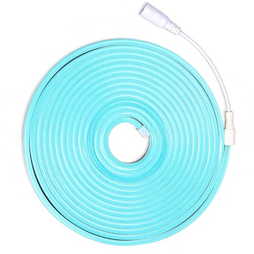 JANDEI - Ruban Lumineux LED Neón 12V, 5M 6x12mm 120 Leds/Mètres. Couleur Bleu ciel. Découpe...