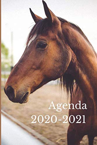 Télécharger Agenda scolaire 2020-2021: un agenda pour les passionnés de cheval et d'équitation pour une année Gratuit