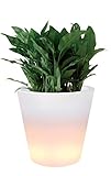 Ø x Höhe: 45 x 63 cm Elho 3346304510004 Pflanztopf Pure Straight LED Light Durchmesser 45 x 63 cm