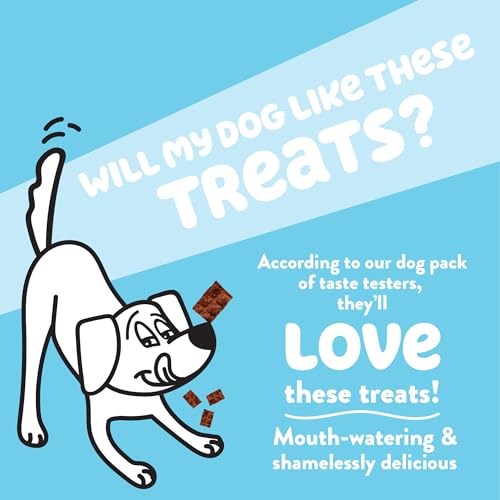 Shameless Pets Jerky Dog Treats, Salmon Loves Butternut - Healthy Dog Chews for Dogs Skin & Coat with Omega 3 & 6 - with Real Wild-Caught Salmon - Free from Grain, Corn & Soy - 1-Pack - Thumbnail 2