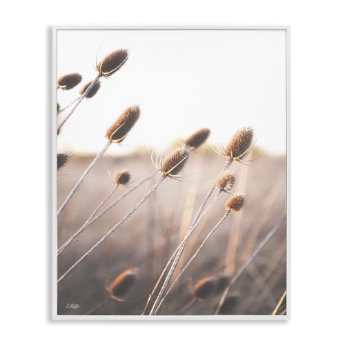 Stupell Industries Tranquil Plant Buds Sprouts Country Meadow Grass, Design by Donnie Quillen