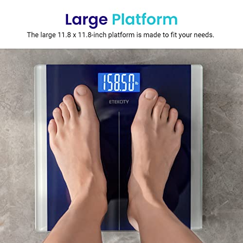Image of Etekcity Scale for Body Weight, Bathroom Digital Electric Scale for People, Measures Weight up to 400 lbs, Blue (Pack of 5)