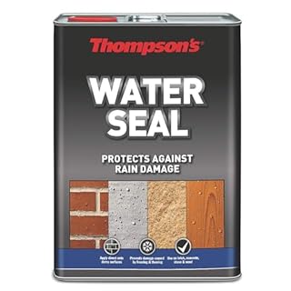 Thompsons Water Seal Clear Waterproof Protector | Fast Drying Silicone Sealer for Decking, Brick, Concrete & Stone | Stops Freeze-Thaw Damage (5 Litre)