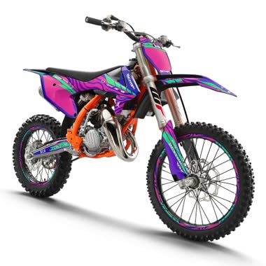 Amazon.com: 2019-2023 SX 65 Tigre Pink Senge Graphics