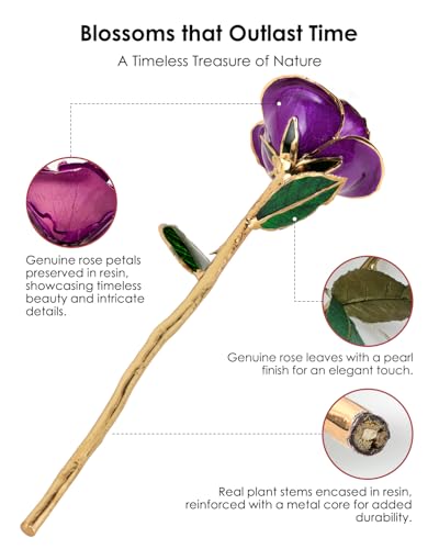 Image of 24K Gold Dipped Preserved Real Rose, Decorative Gift, Purple