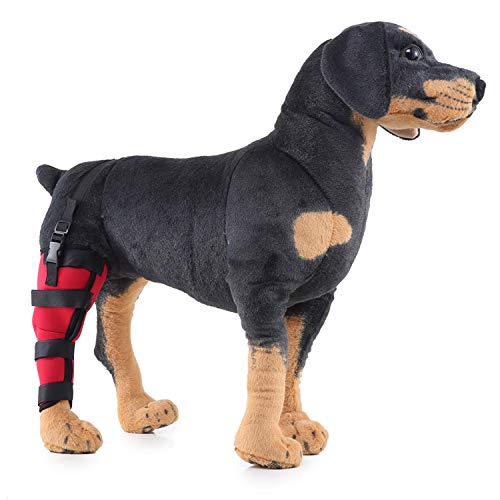 Buy Dog Right Hind Leg Brace, Dog Elbow Brace Protector, Dog Hind Legs Protector, for Hind Leg