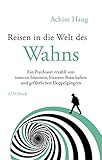 Reisen in die Welt des Wahns: Ein Psychiater erzählt von inneren Stimmen, bizarren Botschaften und gefährlichen Doppelgängern