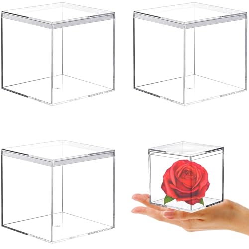 4-Pack Acrylic Box Transparent Square Cube Storage Box, 3.15x3.15x3.15 inch