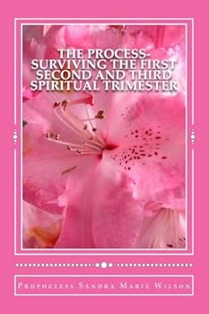 Paperback The Process-Surviving The First Second and Third Spiritual Trimester Book