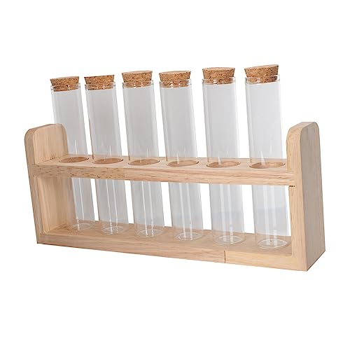 NAMOARLY 1 Set Coffee Bean Display Stand Vitroleros para Mini Candy Clear Stand Bath Salt Tube Multi-Function Tube Holder Displaying Test Tube Home Accessory Coffee Beans Tube Beads Glass