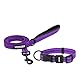 Best Pet Supplies Voyager Verstellbares Hundehalsband und Hundeleine aus Nylon, weich gepolsterter Griff und Hals mit reflektierenden Nähten, für Welpen, kleine, mittelgroße und große Hunde, Violett,