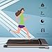 2WD Cinta de Correr Caminar Profesional, Máquina para Correr Caminar, Pantalla LCD,...