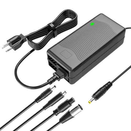 Norward 54.6V 2A Charger for 48V Lithium Battery Compatible with Battery Charger Equipped with 4 Output Heads