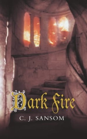 Dark Fire 1405005440 Book Cover