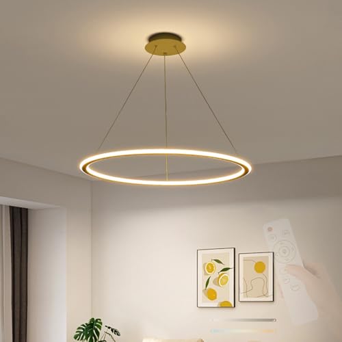 Lámpara de araña 2700K-6500K moderna con luz LED regulable de 60cm para techo interior