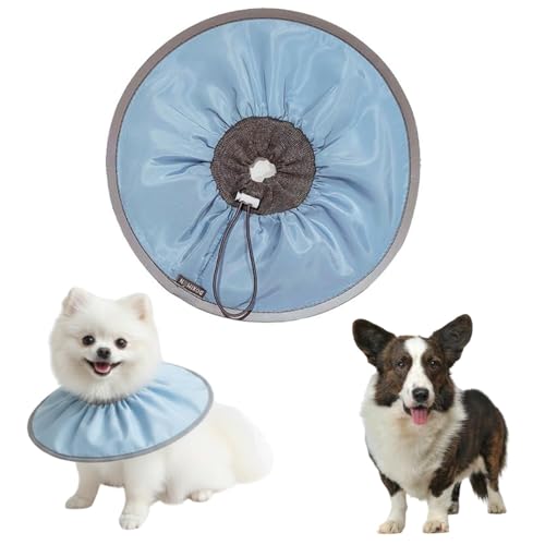 LifetipsEFVR[M[J[fBKLp GUxXJ[ h \tg y pPA ی Ȃߖh~ p EȒP 􂦂 PAJ[(xr[u[j(Lj