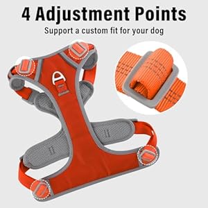 Plutus Pet No Pull Dog Harness, Release At Neck, Reflective Adjustable Dog Vest Harness, Easy Control Handle for Walking, for Small Medium Large Dogs, Orange, S