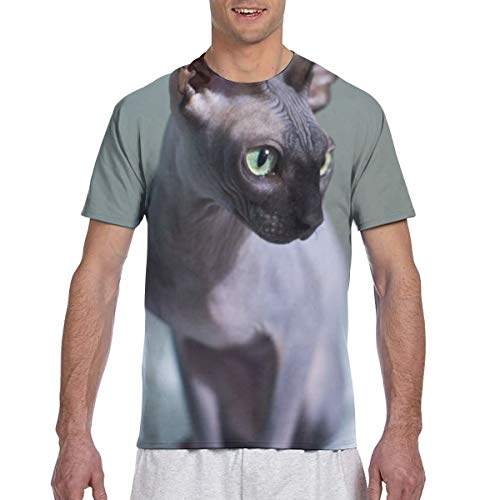 Hairless Sphynx Cat Shirts The Best Amazon Price In Savemoney Es Hairless Sphynx Cat Shirts The Best Amazon Price In Savemoney Es