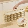 Fridge Storage Boxes With Lids, Dumpling Box Refrigerator Organizer Stackable Storage with Lids, Portable Multi Layer Quick Frozen Food Storage Container for Kitchen Fridge (transparent, 3 layer)