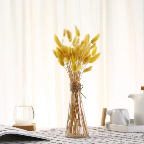 Decoración con pasto pampas seco 60 piezas amarillo