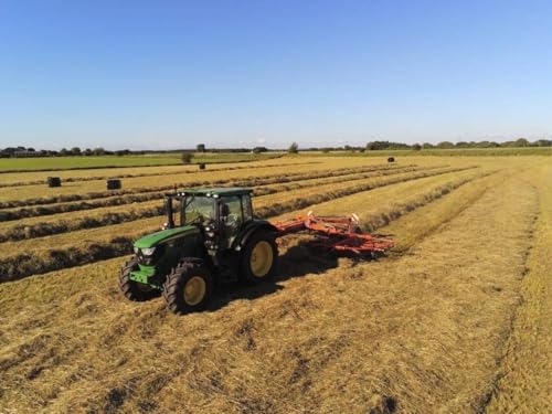 Fearns Farm Mini Timothy Hay & Rye Grass Haylage - 16KG - Dust Extracted High Fibre Pet & Rabbit Food - Suitable for Horses, Guinea Pigs & Other Animals - Image 7