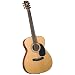 Bristol BM-16 000 Acoustic Guitar