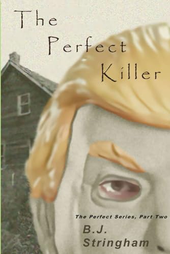The Perfect Killer: The Perfect Series, Part Two