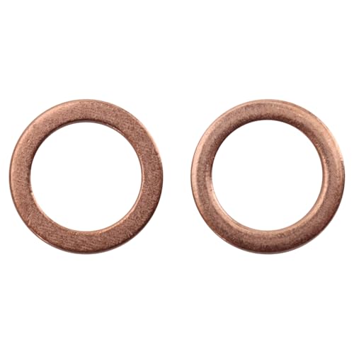 Image of TRQ Front Performance Brake Hose Set Compatible with 2002-2005 Dodge Ram 1500